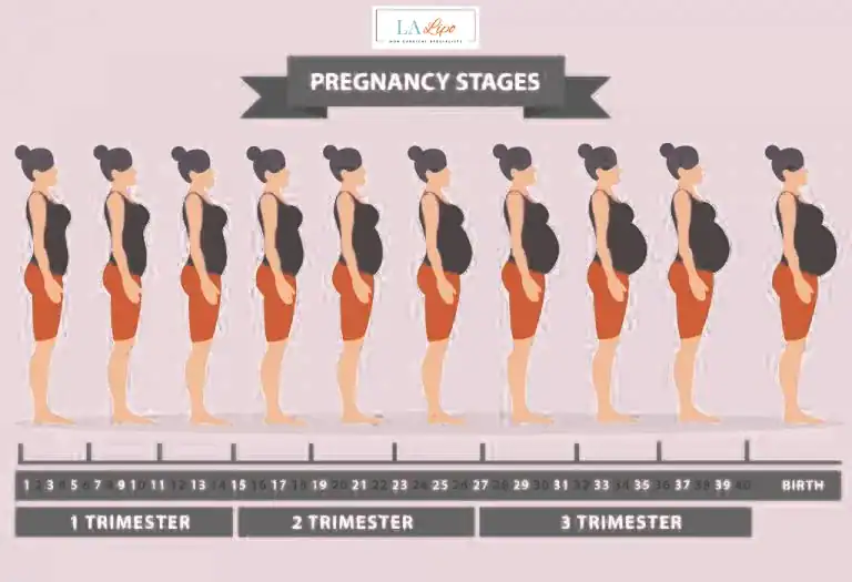 First Trimester (Weeks 1–12): Early Changes You Might Not Notice Brighton